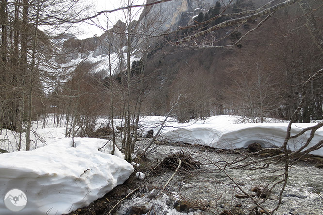 Circular per la capçalera de la vall d