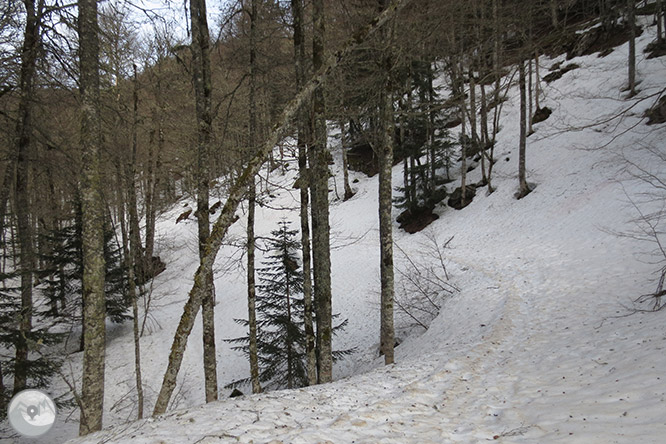 Circular per la capçalera de la vall d