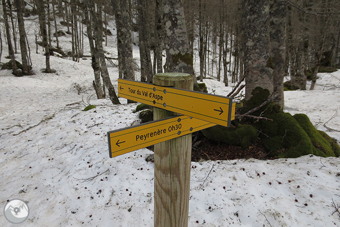 Circular per la capçalera de la vall d