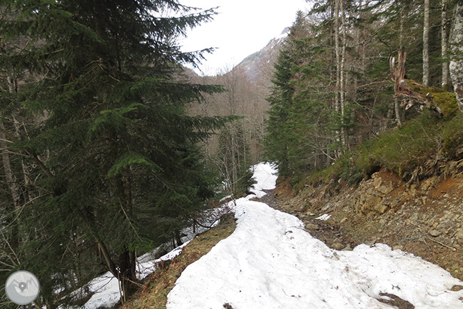 Circular per la capçalera de la vall d