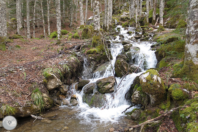 Circular per la capçalera de la vall d