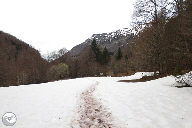 Circular per la capçalera de la vall d