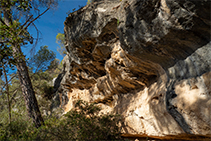 Coves de can Castellví.