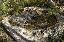 Trobem al mig del camí un plat de premsa fet en una gran roca calcària.