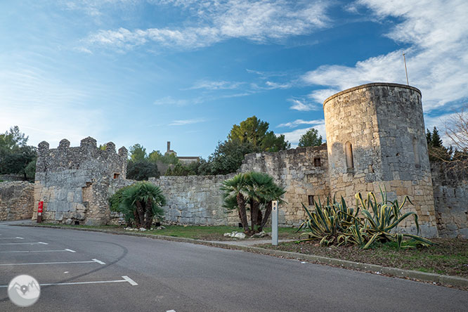 Circular per la Muntanya d’Olèrdola 1 