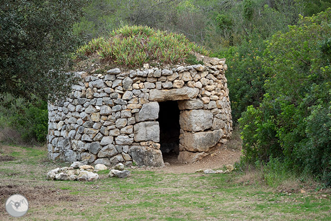 Circular per la Muntanya d’Olèrdola 1 