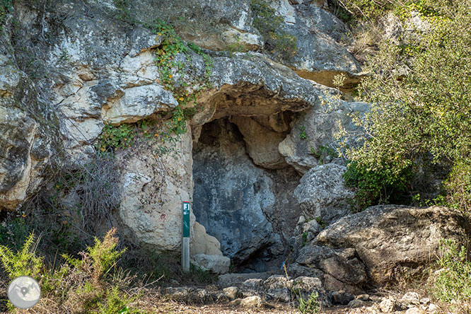 Circular per la Muntanya d’Olèrdola 1 