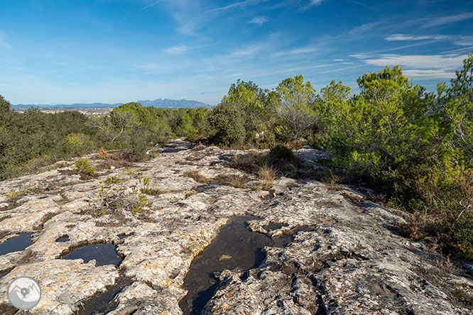 Circular per la Muntanya d’Olèrdola 1 