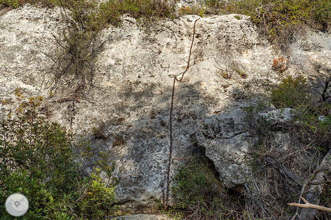 Circular per la Muntanya d’Olèrdola 1 