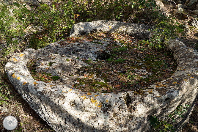 Circular per la Muntanya d’Olèrdola 1 