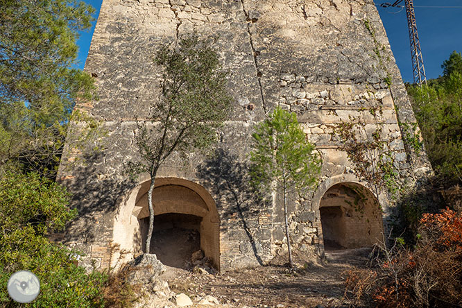 Circular per la Muntanya d’Olèrdola 1 