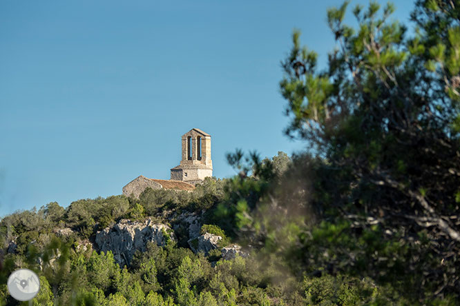 Circular per la Muntanya d’Olèrdola 1 