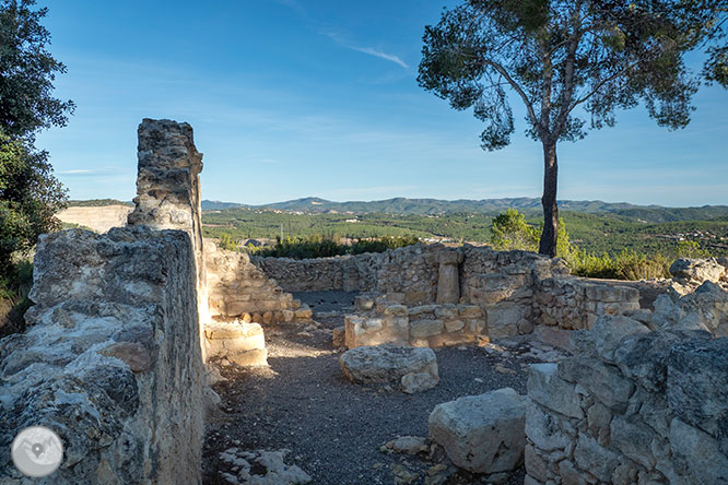 Circular per la Muntanya d’Olèrdola 1 