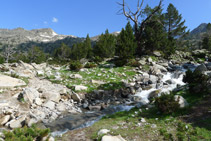 Rierol d´aigua que baixa des del llac d´Aumar fins al llac d´Aubert.