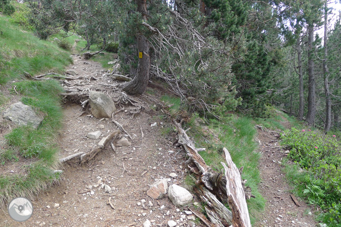 Ruta circular pels llacs de Néouvielle 1 