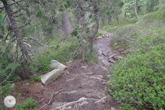 Ruta circular pels llacs de Néouvielle 1 