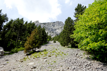 Tartera dels Cabirols.