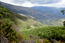 Bosc de Tolzó i vall d´Escós.