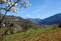 Prats de pastura a la vall de la Noguera Pallaresa.