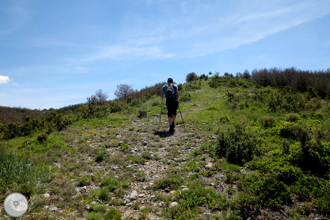 Ruta circular per la Terreta des de Sapeira 1 