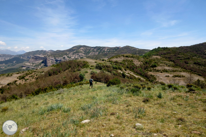 Ruta circular per la Terreta des de Sapeira 1 