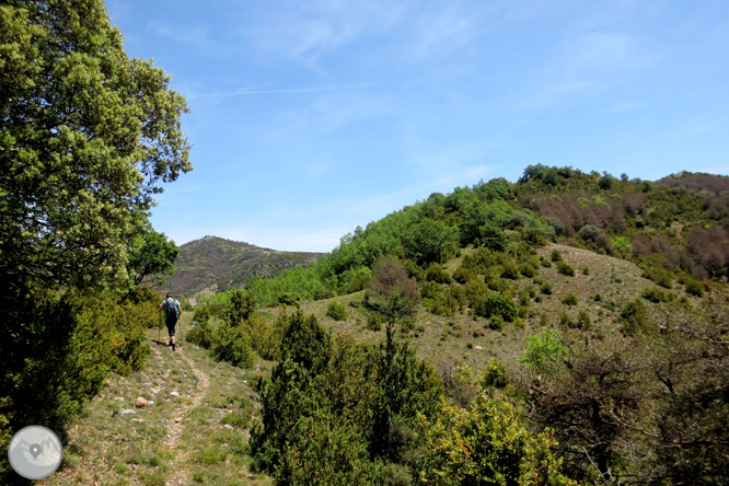 Ruta circular per la Terreta des de Sapeira 1 