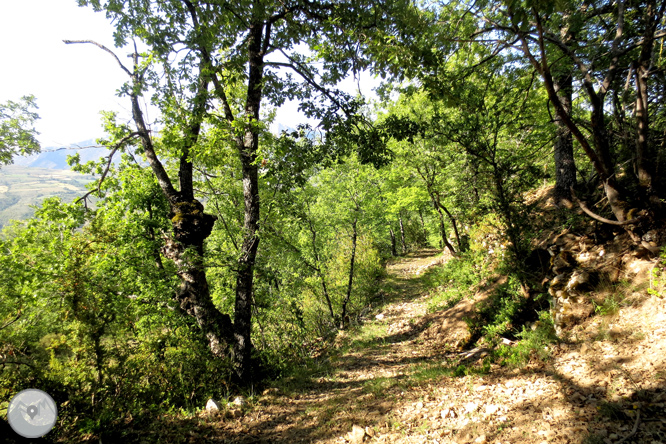 Ruta circular per la Terreta des de Sapeira 1 