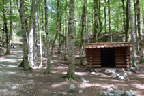 Cabana enmig de la fageda.