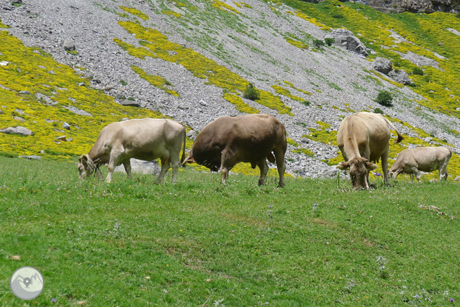 Cola de Caballo per les grades de Soaso 1 