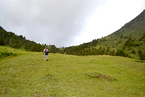 Pujant cap al coll de Conflent.