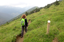 Estaques de fusta amb una marca groga ens indiquen el camí.