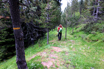 Comencem la baixada pel bosc de l´Obaga d´Os.