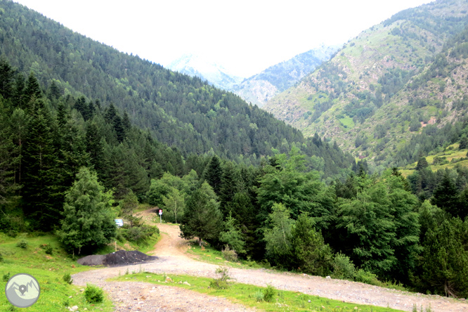 Collada de Conflent a Os de Civís 1 