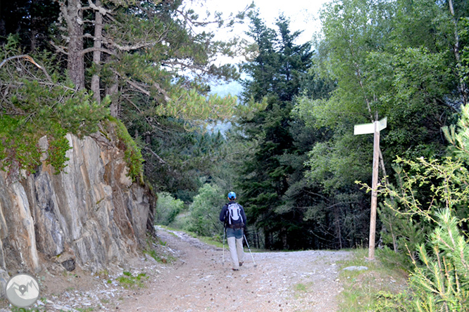 Collada de Conflent a Os de Civís 1 