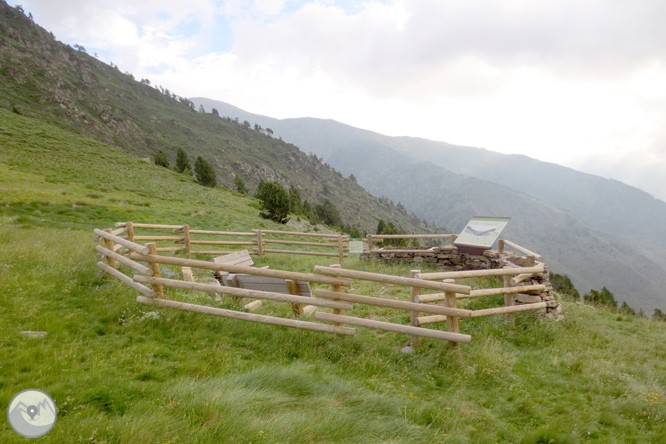 Collada de Conflent a Os de Civís 1 