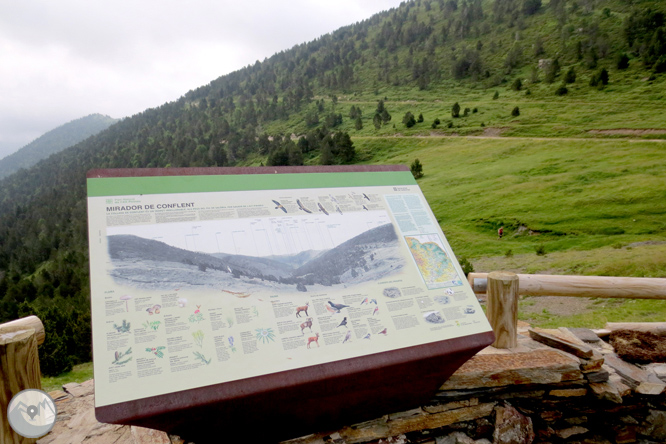 Collada de Conflent a Os de Civís 1 