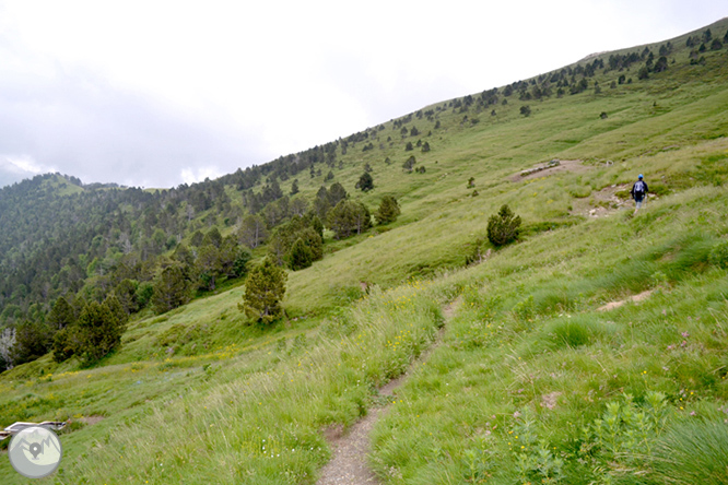 Collada de Conflent a Os de Civís 1 