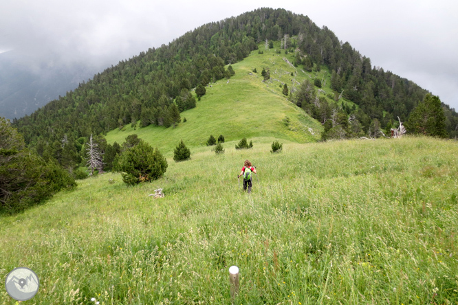 Collada de Conflent a Os de Civís 1 