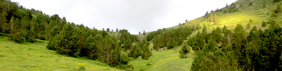 Collada de Conflent a Os de Civís