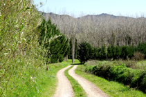 Camí de les Coves.