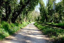 Canal de Sant Jordi.