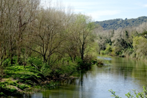 El Ter a Sant Julià de Ramis.