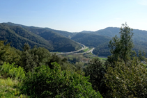 L´alzinar del massís de les Gavarres.