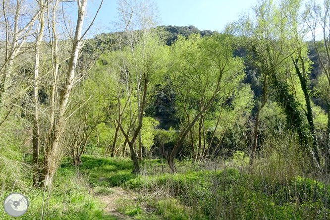 El congost del Ter i la Muntanya dels Sants Metges 1 