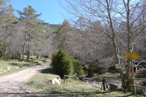 Pista de terra.