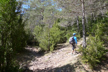 Creuament de camins. Girem a la dreta.