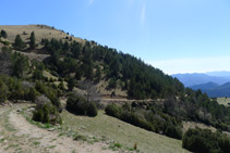 Pista de terra que baixa cap al coll de Meians.