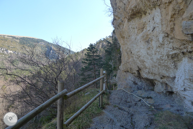 Costa Pubilla o Pla de Pujalts (2.056m) al Montgrony 1 