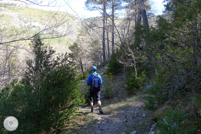 Costa Pubilla o Pla de Pujalts (2.056m) al Montgrony 1 