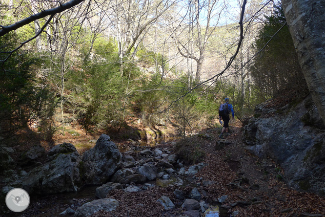 Costa Pubilla o Pla de Pujalts (2.056m) al Montgrony 1 